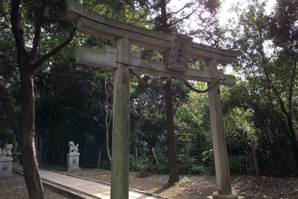 学生にオススメ 静岡県内の お金がかからない デートスポット5選 東部編 Domo ドーモプラス 学生にオススメ 静岡県内の お金がかからない デートスポット5選 東部編 Domo ドーモプラス