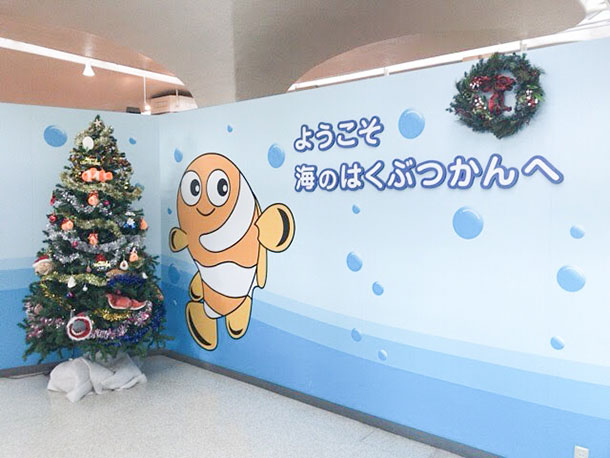 キュートなクマノミに会える穴場デートスポット 海辺デートも叶う 東海大学海洋科学博物館 Domo ドーモプラス