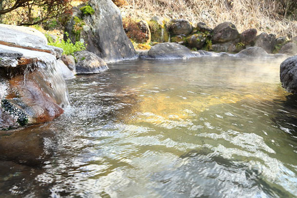 どんな資格 話題の ソムリエ Domo ドーモプラス